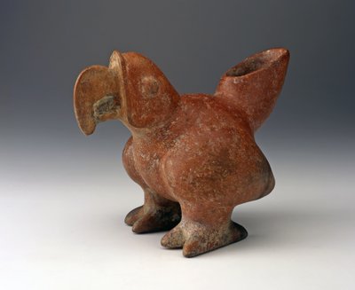 Parrot Effigy Vessel by West Mexican